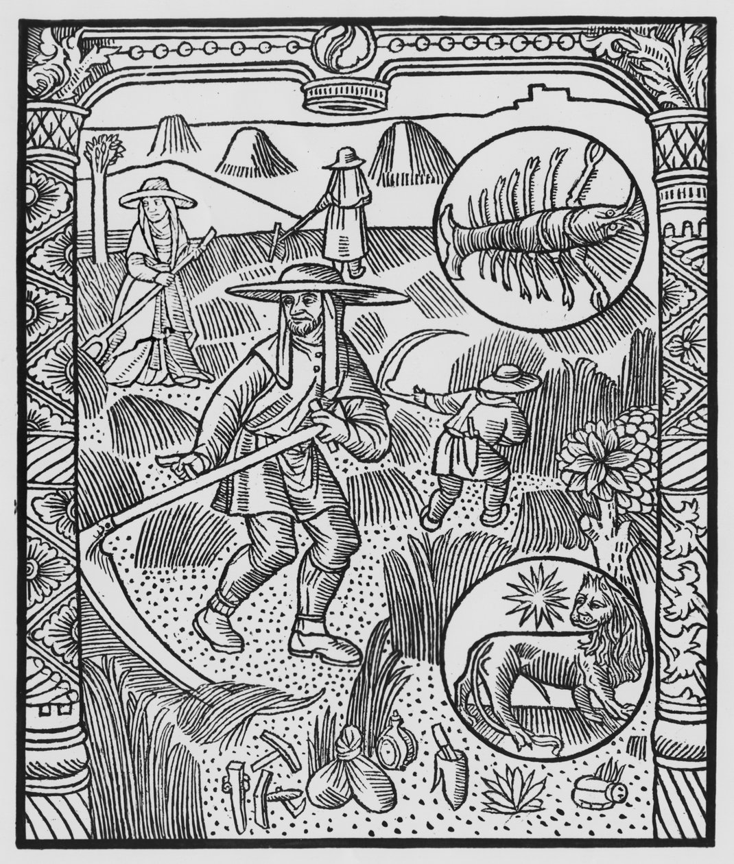Lipiec, sianokosy, Rak, ilustracja z „Almanachu Bergerów”, 1491 (ksylografia) autorstwa Pierre Le Rouge
