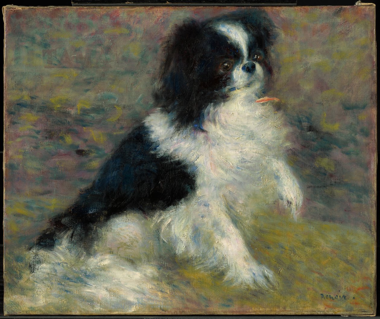 Tama, japoński pies autorstwa Pierre-Auguste Renoir