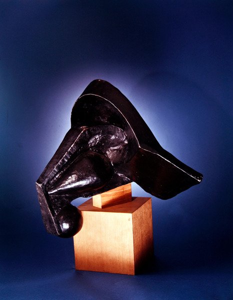Głowa konia autorstwa Pierre Maurice Raymond Duchamp Villon