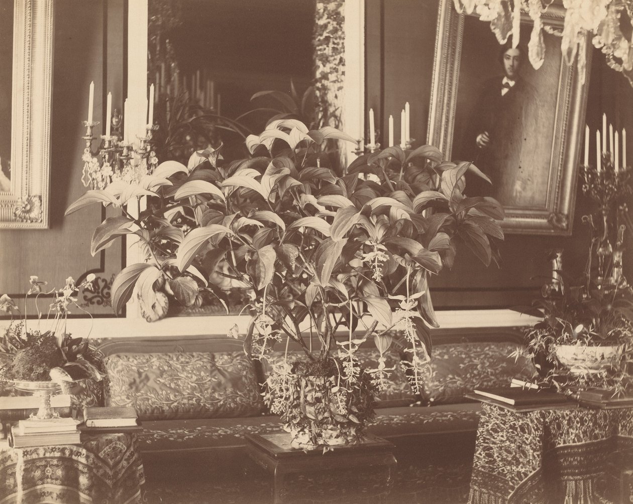 Wnętrze, lata 60. XIX wieku. autorstwa Pierre Ambrose Richebourg
