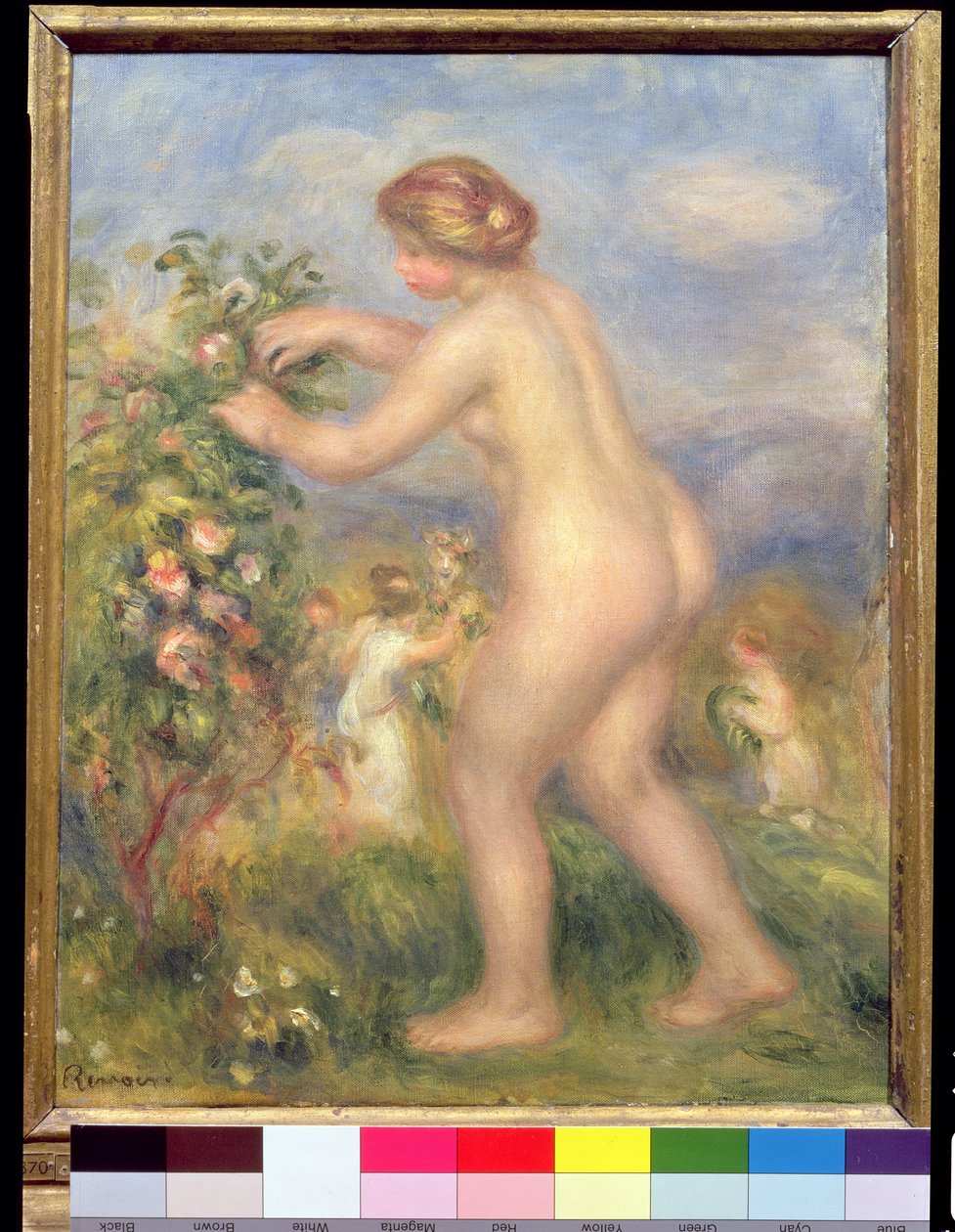 Kobiece nagie zbieranie kwiatów autorstwa Pierre Auguste Renoir