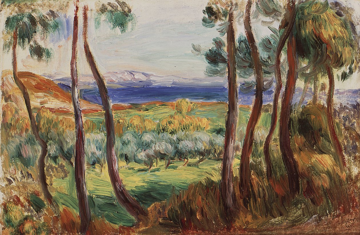 Sosny wokół Cagnes, ok. 1910. autorstwa Pierre Auguste Renoir