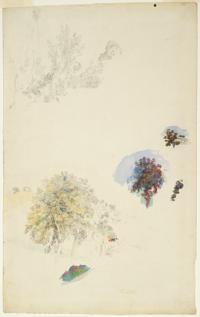 Badania drzew i liści autorstwa Pierre Auguste Renoir
