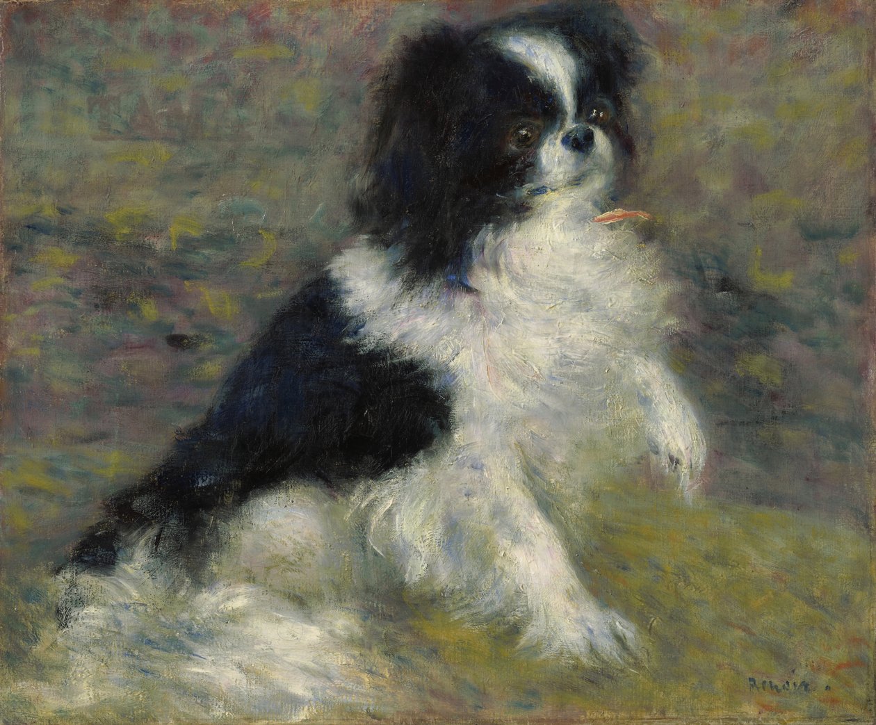 Tama, pies japoński, ok. 1876 r. autorstwa Pierre Auguste Renoir