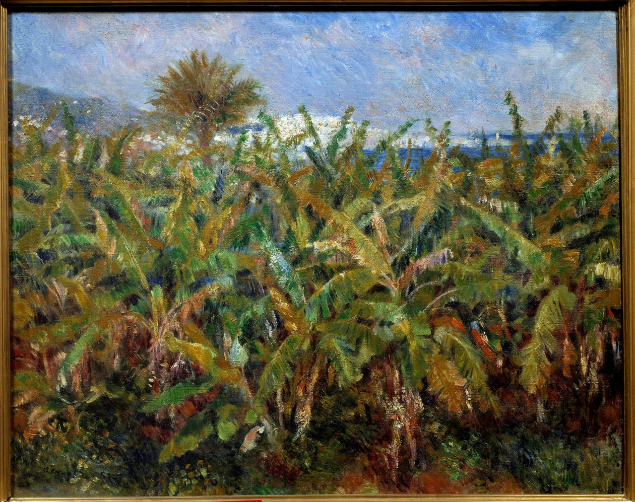 Un champ de bananas Obraz Pierre Auguste Renoir (1841-1919) 1881 Ndz. 0,51x0,63 m Paryż, musee d
