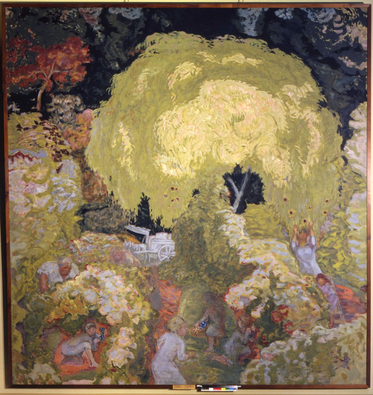 Jesień, Zbieranie Owoców autorstwa Pierre Bonnard