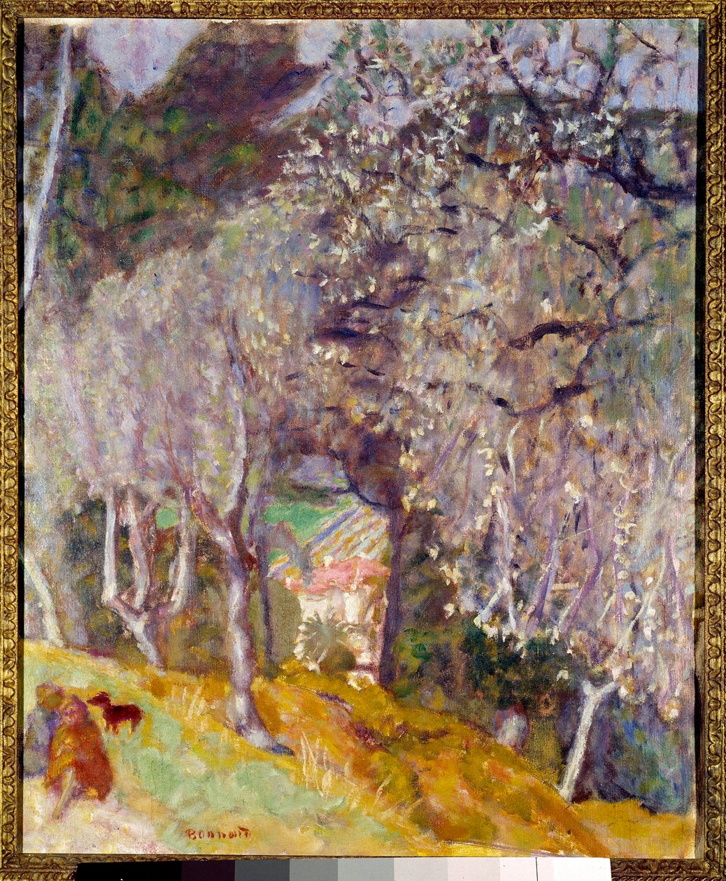 Dom na Oliwkach autorstwa Pierre Bonnard