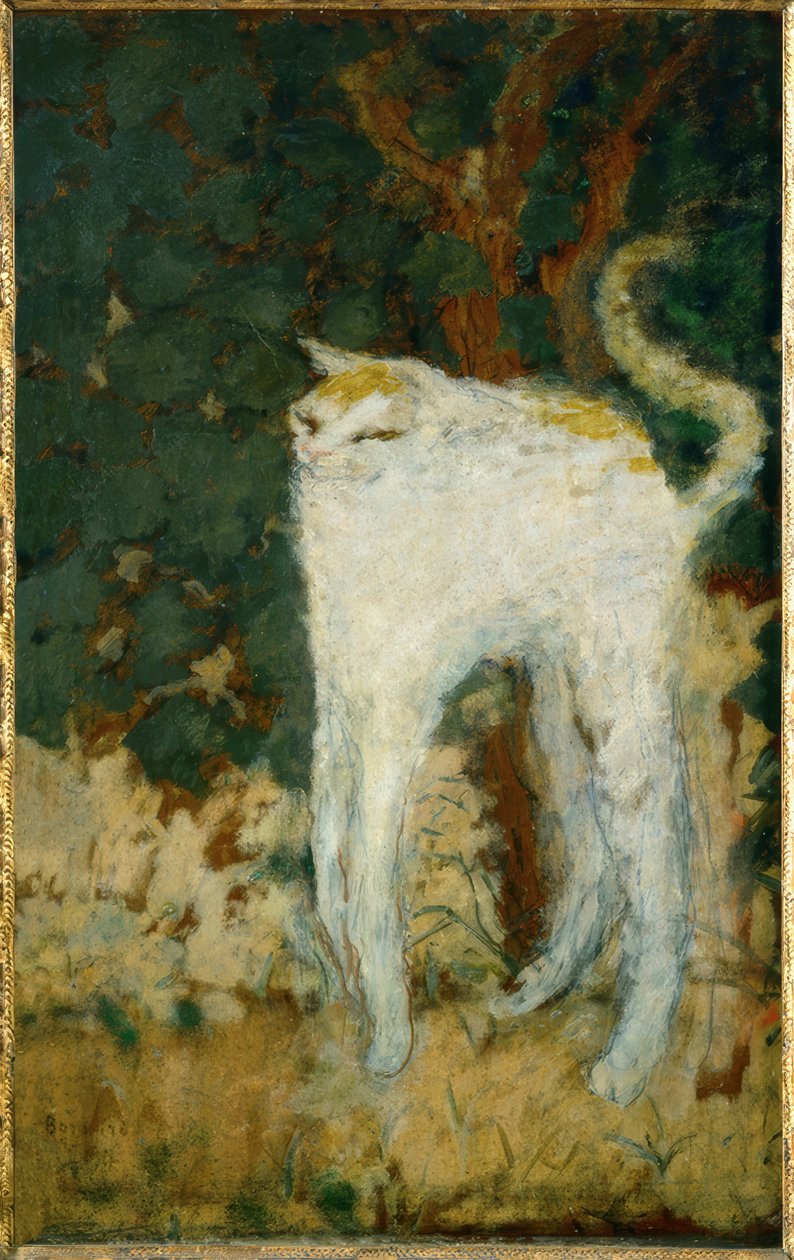 Biały kot autorstwa Pierre Bonnard