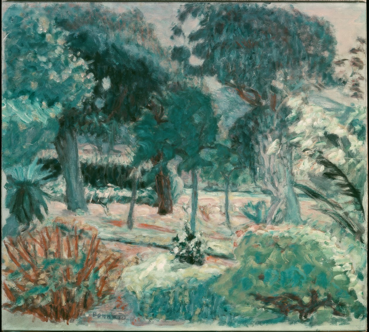 Ogród w Le Var (Saint-Tropez, Villa Joséphine) autorstwa Pierre Bonnard