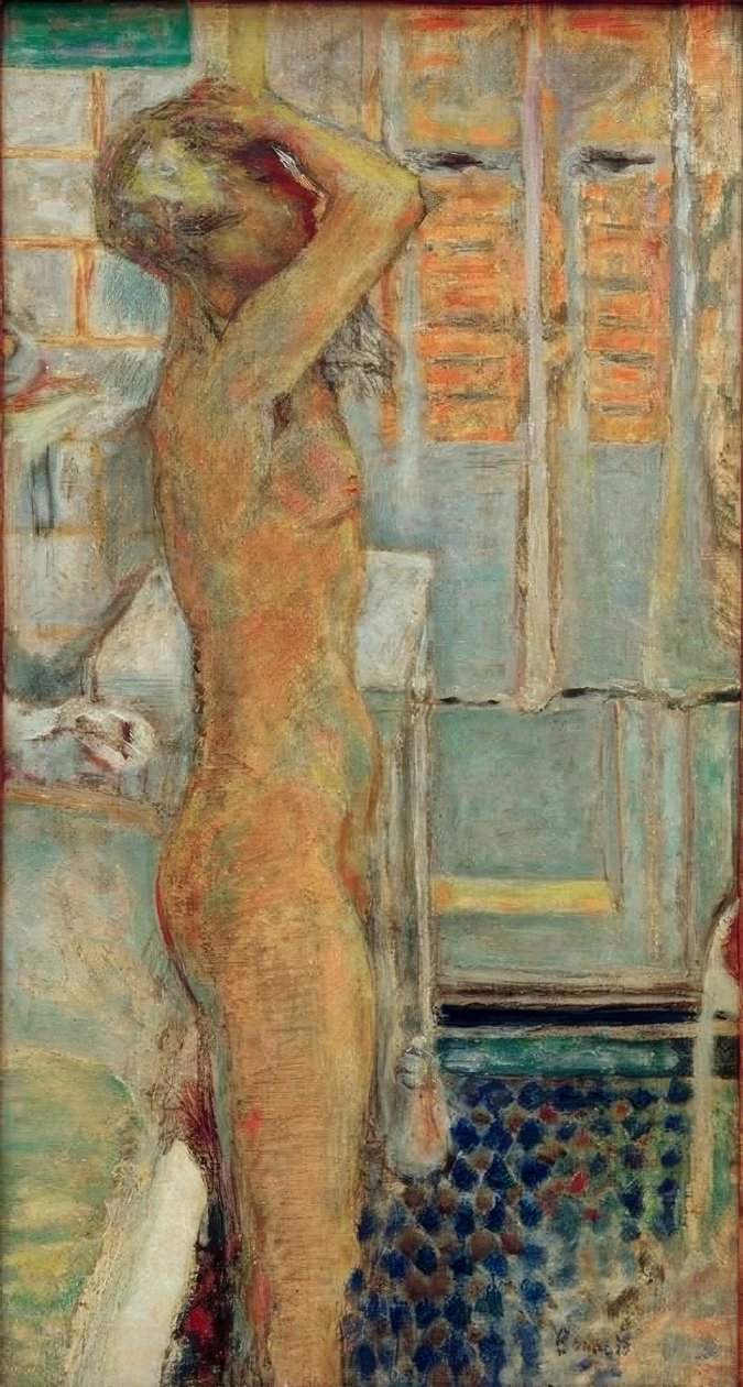 Brak profilu w kolorze szarym autorstwa Pierre Bonnard