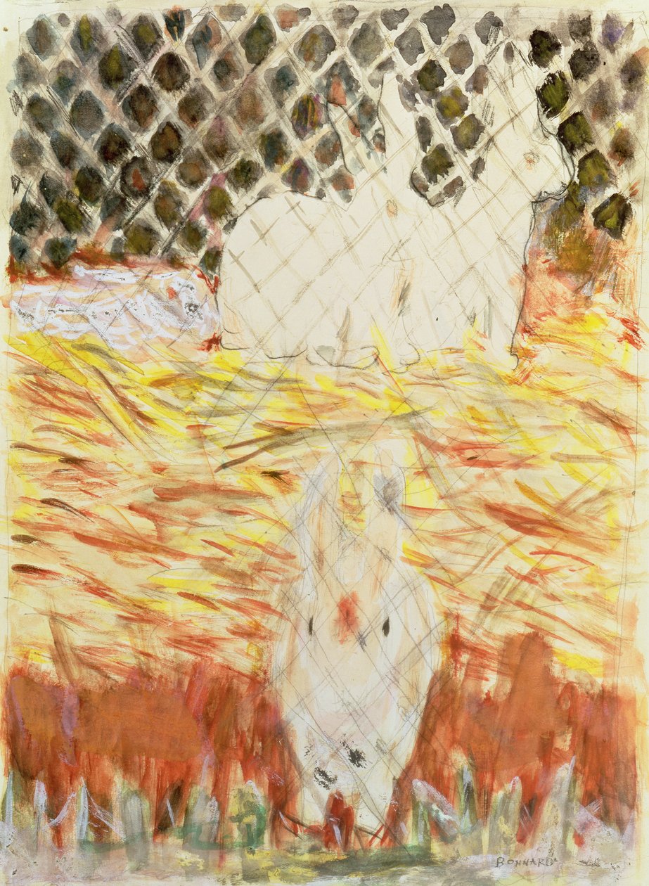 Króliki, ok. 1930 autorstwa Pierre Bonnard