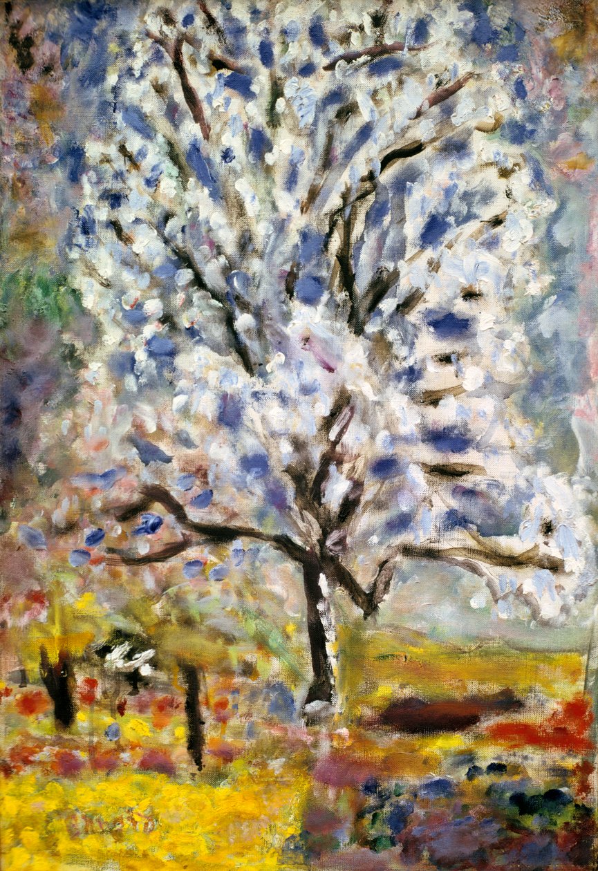Drzewo migdałowe w kwiecie, 1947 autorstwa Pierre Bonnard