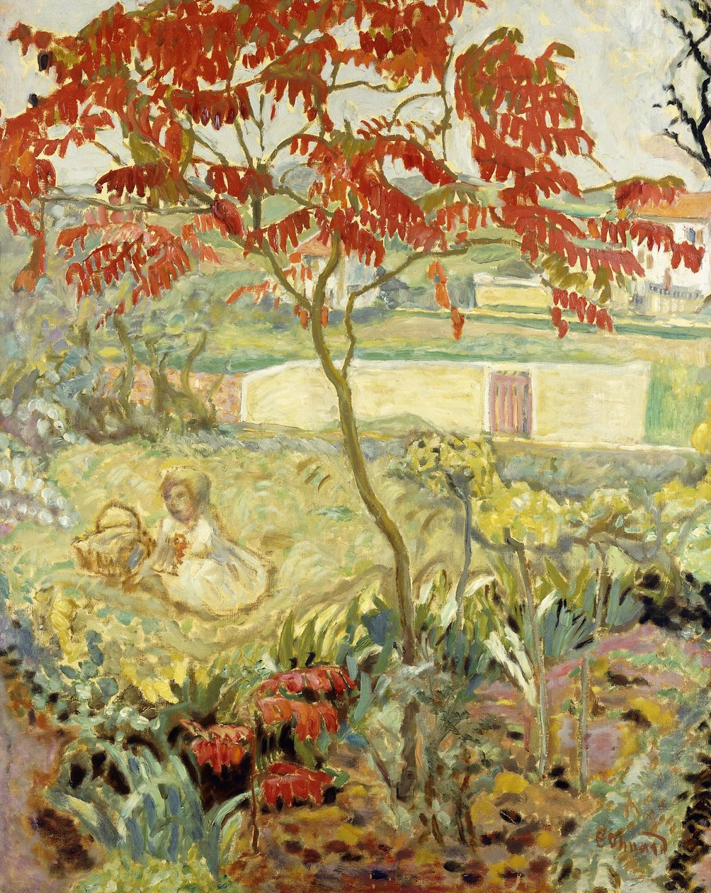 Ogród i czerwone drzewo; Le Jardin a l