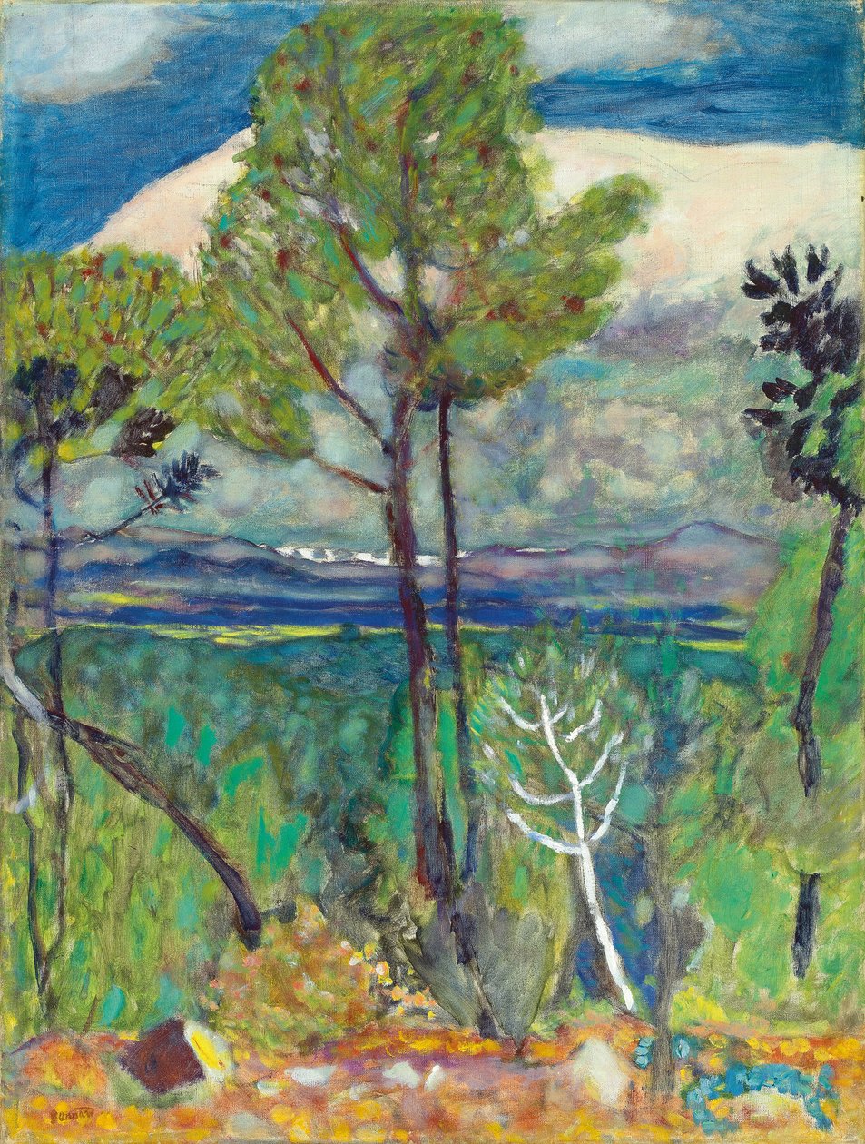Sosny, Nad morzem, ok. 1923 (olej na płótnie) autorstwa Pierre Bonnard