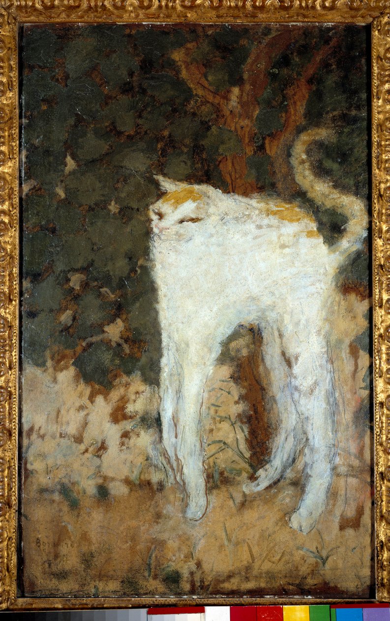 Biały Kot autorstwa Pierre Bonnard
