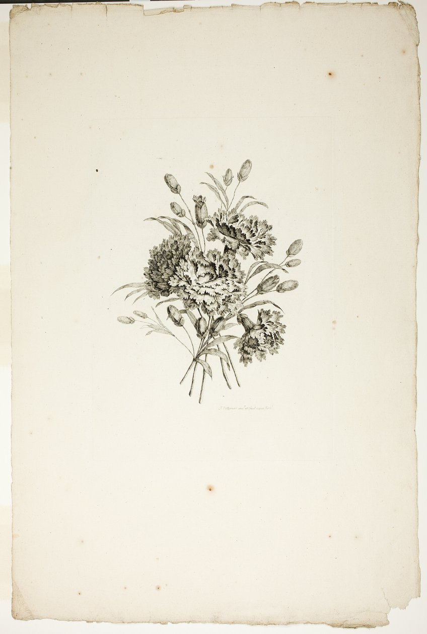 Bukiet z goździkami, z kolekcji różnych bukietów kwiatów, wymyślony i narysowany przez Jeana Pillementa i grawerowany przez P.C. Canota autorstwa Pierre Charles Canot