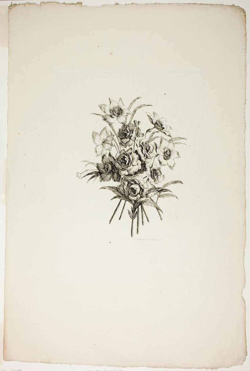 Bukiet z żonkilami, z kolekcji różnych bukietów kwiatów, wymyślony i narysowany przez Jeana Pillementa i grawerowany przez P. C. Canota autorstwa Pierre Charles Canot