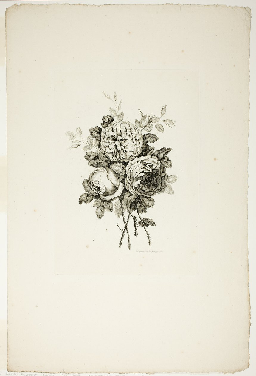 Bukiet z różami, z kolekcji różnych bukietów kwiatów, wymyślony i narysowany przez Jeana Pillementa i grawerowany przez P. C. Canota autorstwa Pierre Charles Canot