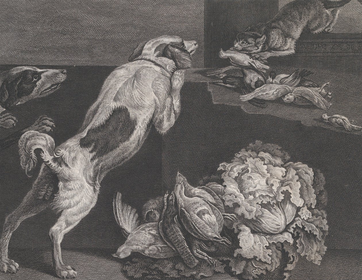 Psy i martwa natura, 1778 autorstwa Pierre Charles Canot