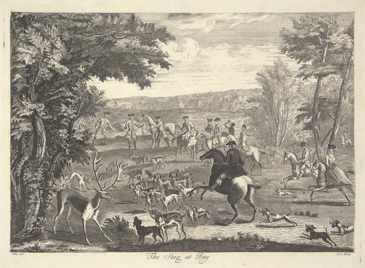 Jeleń w zatoce autorstwa Pierre Charles Canot