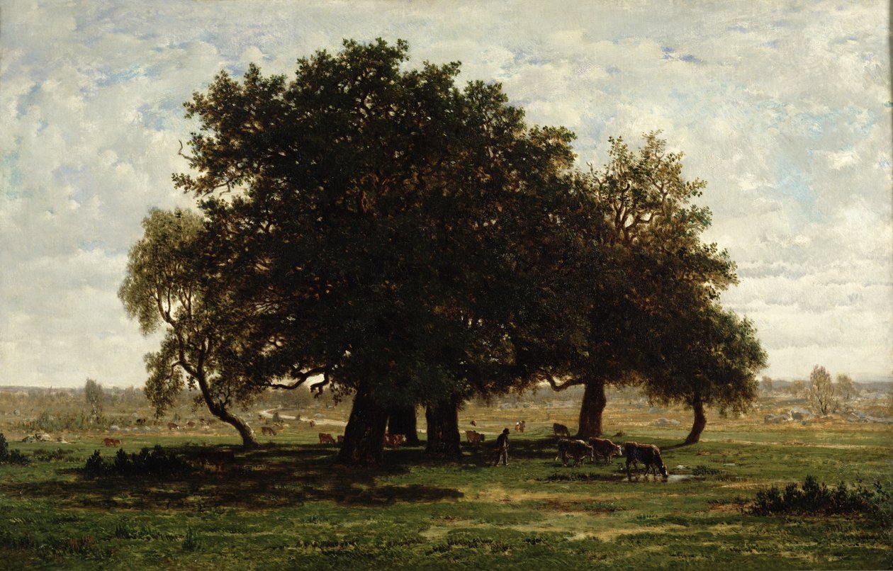 Holm Oaks, Apremont, 1850-52 autorstwa Pierre Etienne Theodore Rousseau