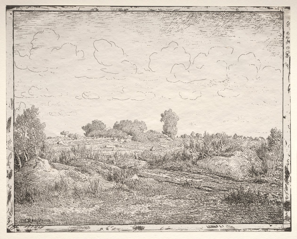Równina Roślin w Biau. autorstwa Pierre Etienne Theodore Rousseau