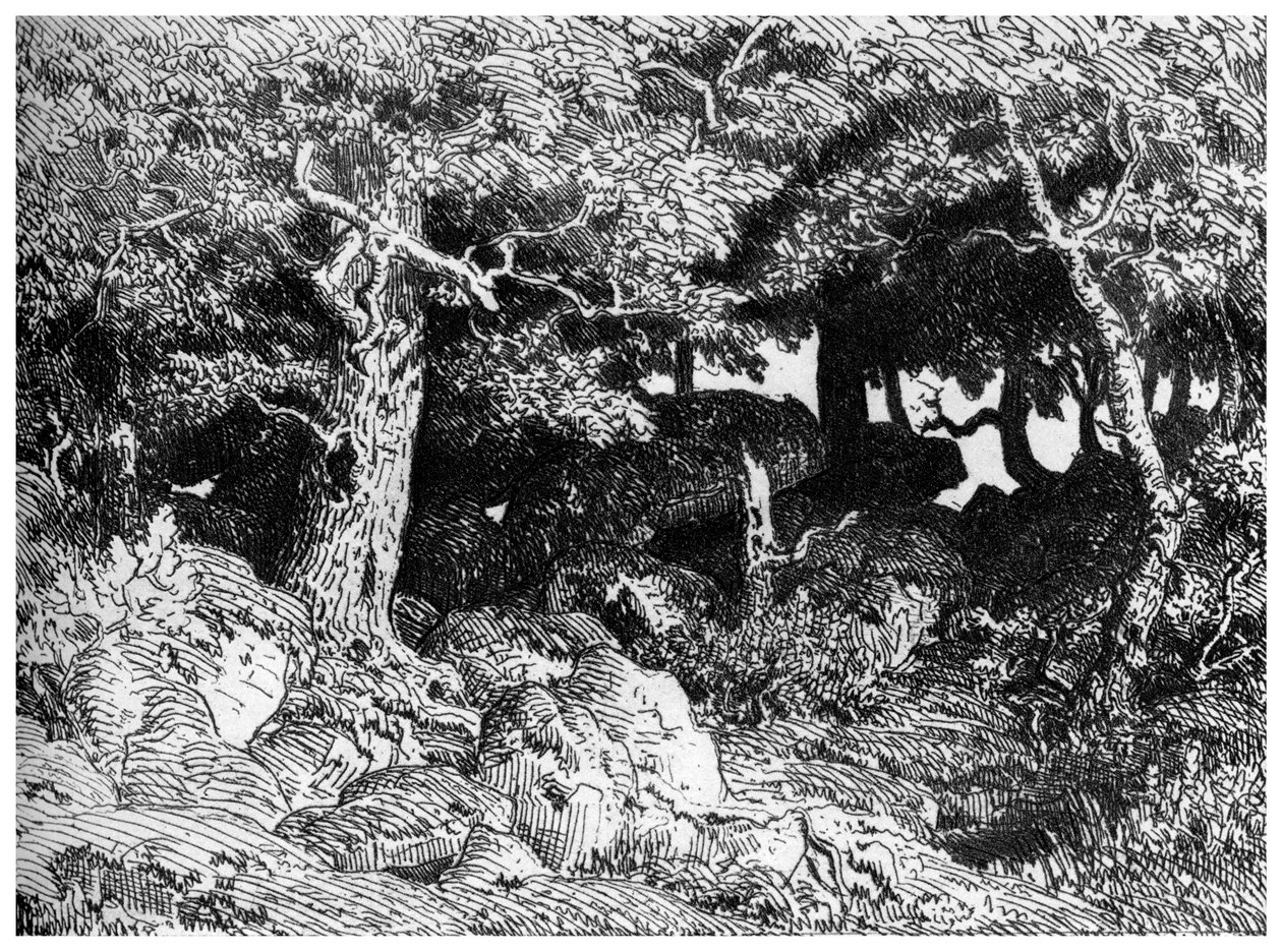 Chenes de Roche, ok. 1832-1860, 1924 r autorstwa Pierre Etienne Theodore Rousseau