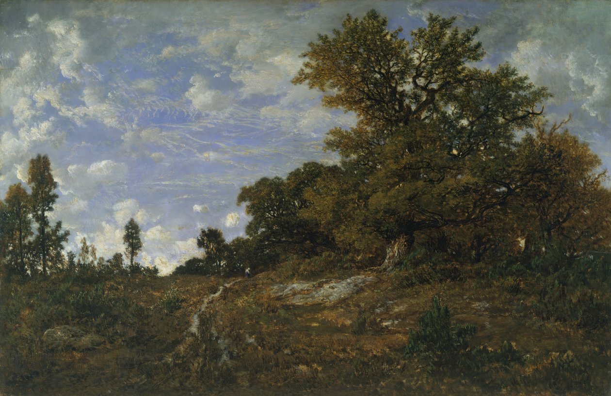 Skraj lasu w Monts-Girard, las Fontainebleau, 1852-54. autorstwa Pierre Etienne Theodore Rousseau