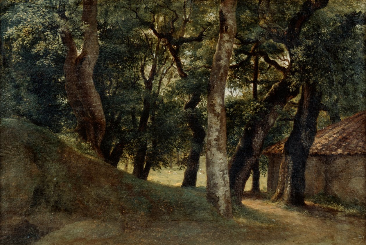 Las Willi Borghese, koniec XVIII i XIX w. autorstwa Pierre Henri de Valenciennes
