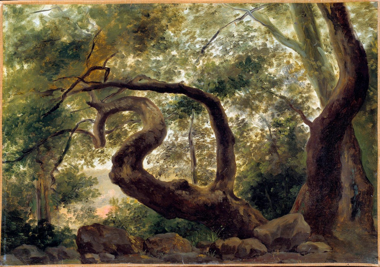 Pod drewnem drzewa z wijącymi się gałęziami Obraz Pierre H. de Valenciennes (1750-1850) XIX w. Słońce. 0,33x0,47 m² autorstwa Pierre Henri de Valenciennes