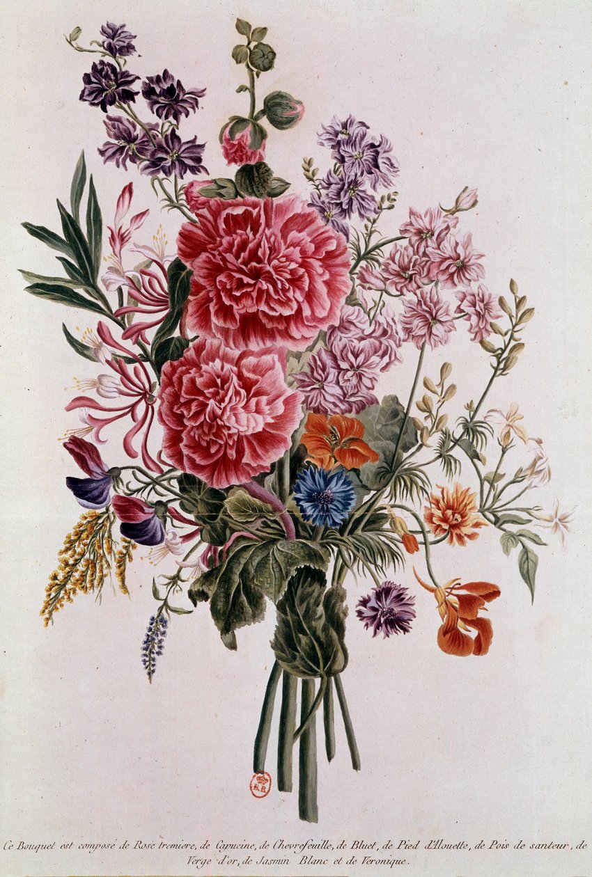 Bukiet skomponowany z różami Litografia Pierre Joseph Buchoz (1731-1807) XVIII-wieczny Paryż, B.N. autorstwa Pierre Joseph Buchoz