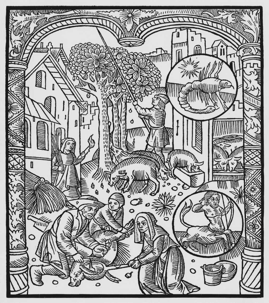 Listopad, zabicie świni i zbieranie żołędzi, Skorpion, ilustracja z „Almanachu Bergerów”, 1491 (ksylografia) autorstwa Pierre Le Rouge