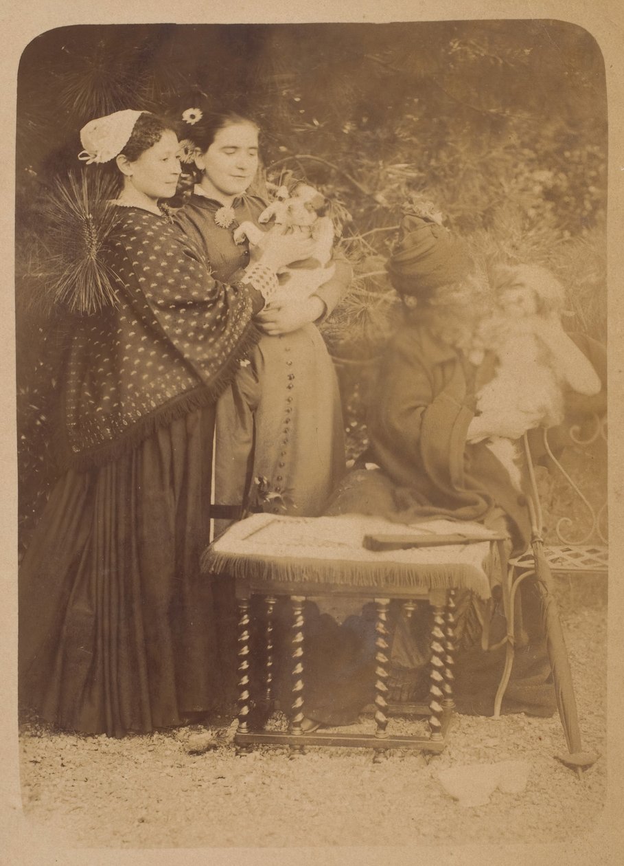 Psy, lata 60. XIX wieku. autorstwa Pierre Louis Pierson