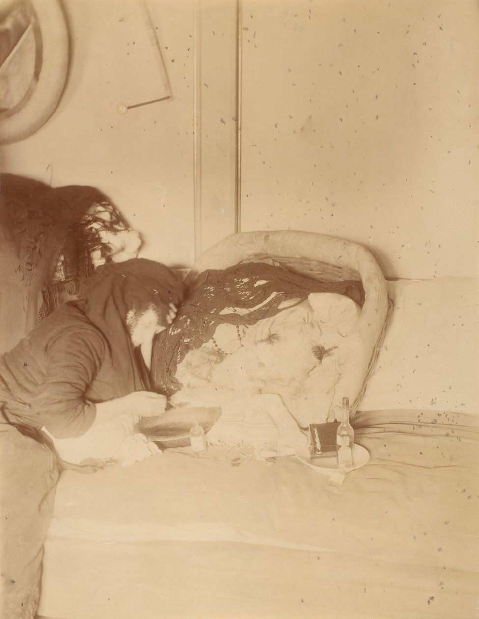 Psy, 1875-80. autorstwa Pierre Louis Pierson