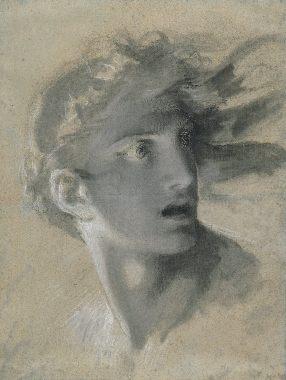 Głowa zemsty autorstwa Pierre Paul Prud