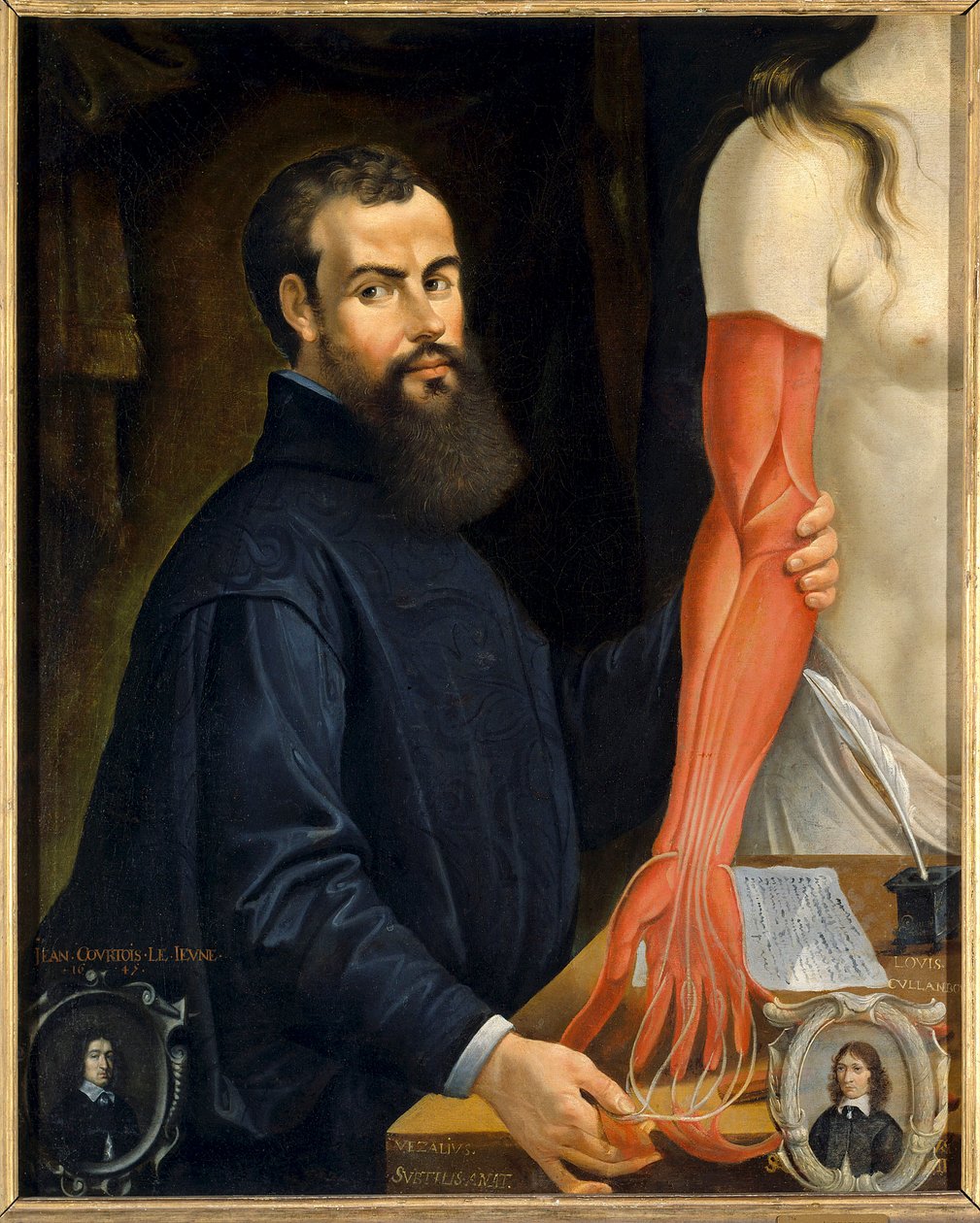Portret Andre Vesale (Andrea Vesalius lub Andries Van Wesel), anatom i lekarz Karola V (1514-1564)”” Obraz Pierre Poncet (1574-1640) Słońce. 0,96 X 0,77 m Orleans musee des Beaux Arts - Portret Andrei Vasaliusa (lub Andriesa Van Wesela) (157 autorstwa Pierre Poncet
