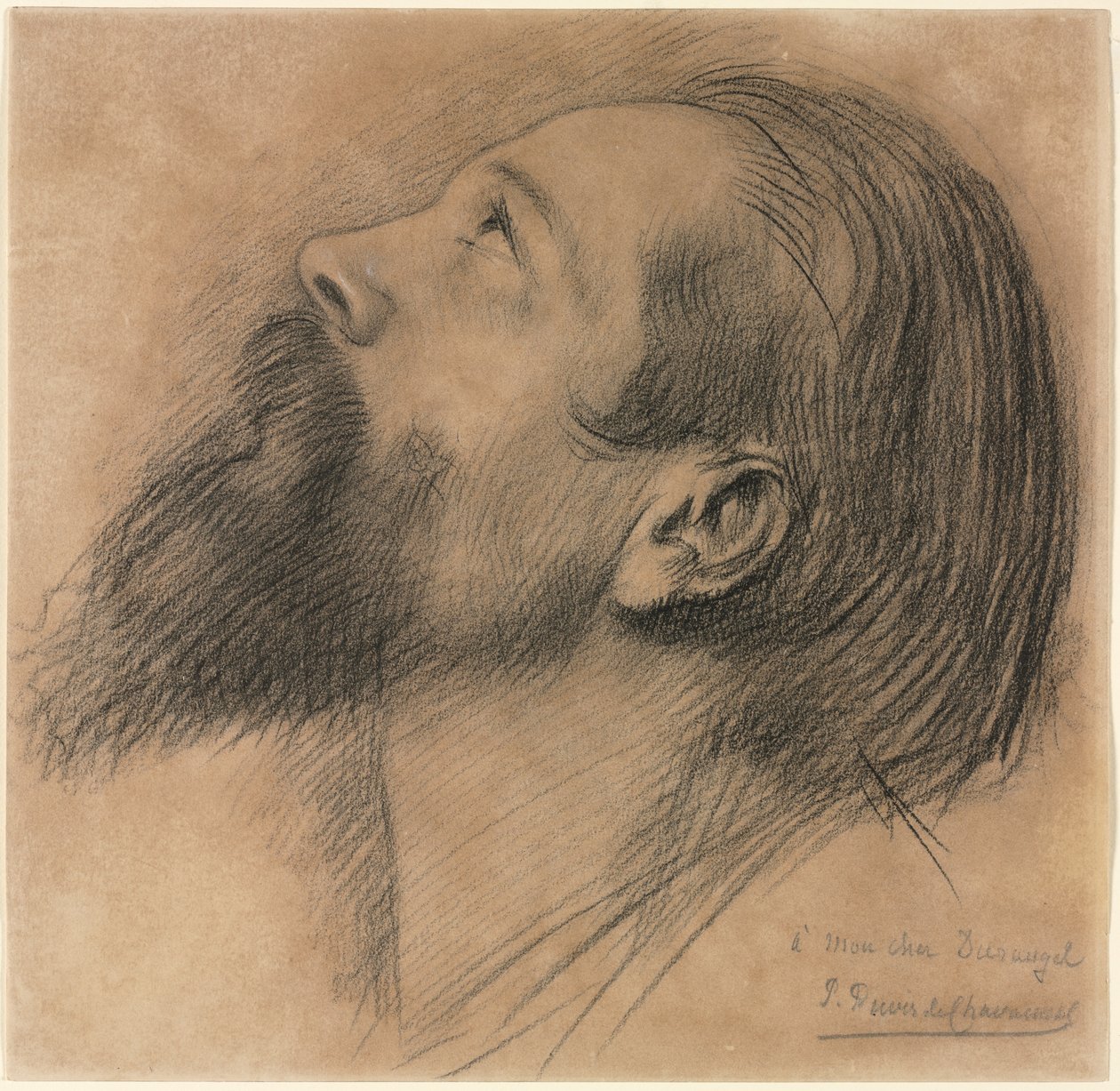 Studium fryzu Sainte Geneviève (czarna kreda z domieszką białej kredy) autorstwa Pierre Puvis de Chavannes