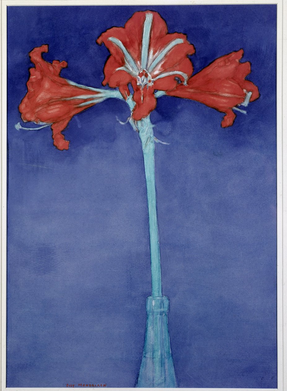 Amarylis autorstwa Piet Mondrian