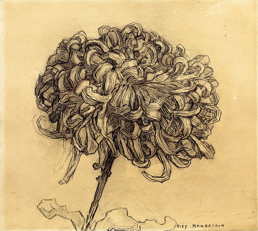 Chryzantema autorstwa Piet Mondrian