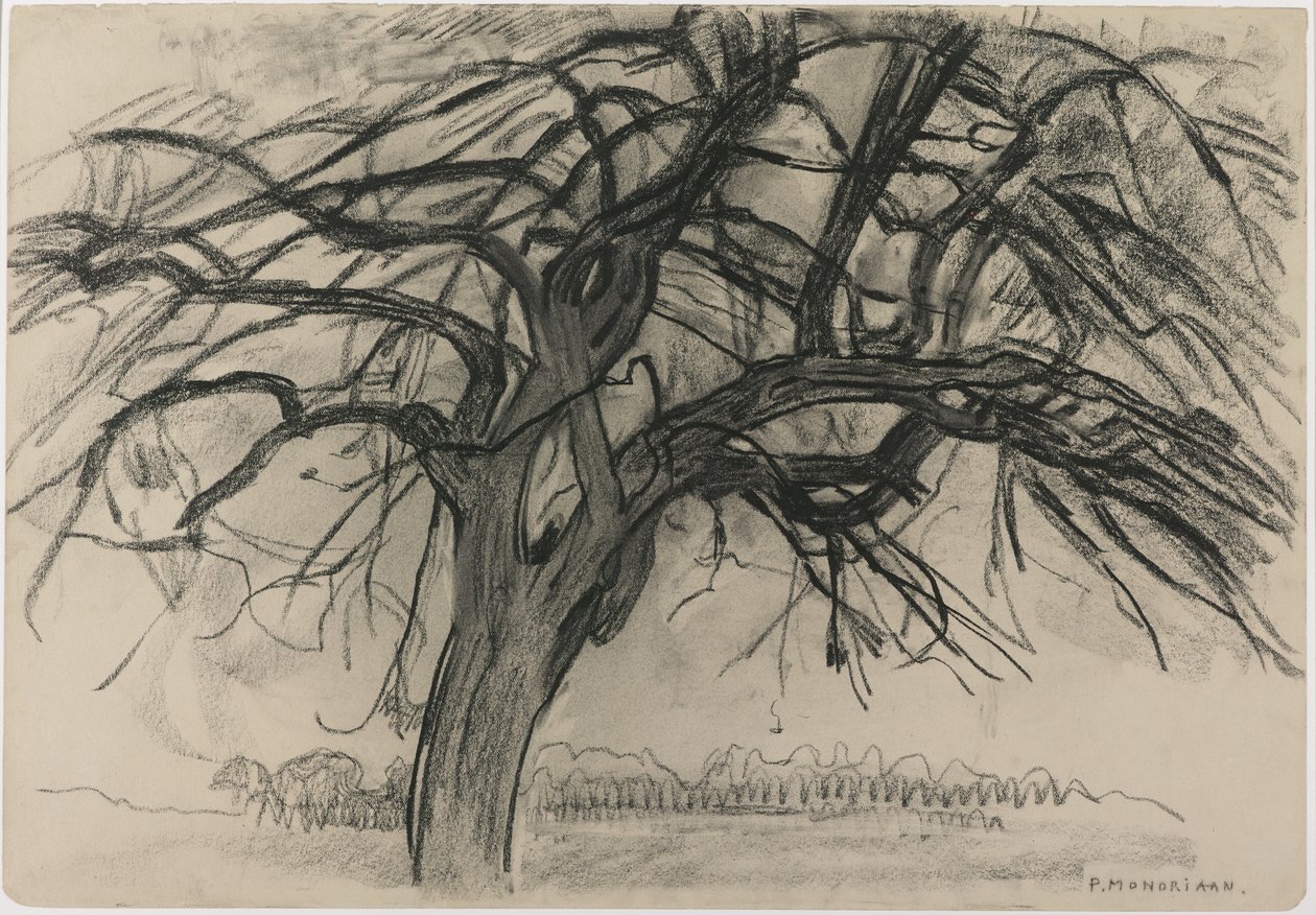 Studium wstępne na wieczór: Czerwone drzewo, 1908 (czarna kredka i węgiel na papierze) autorstwa Piet Mondrian