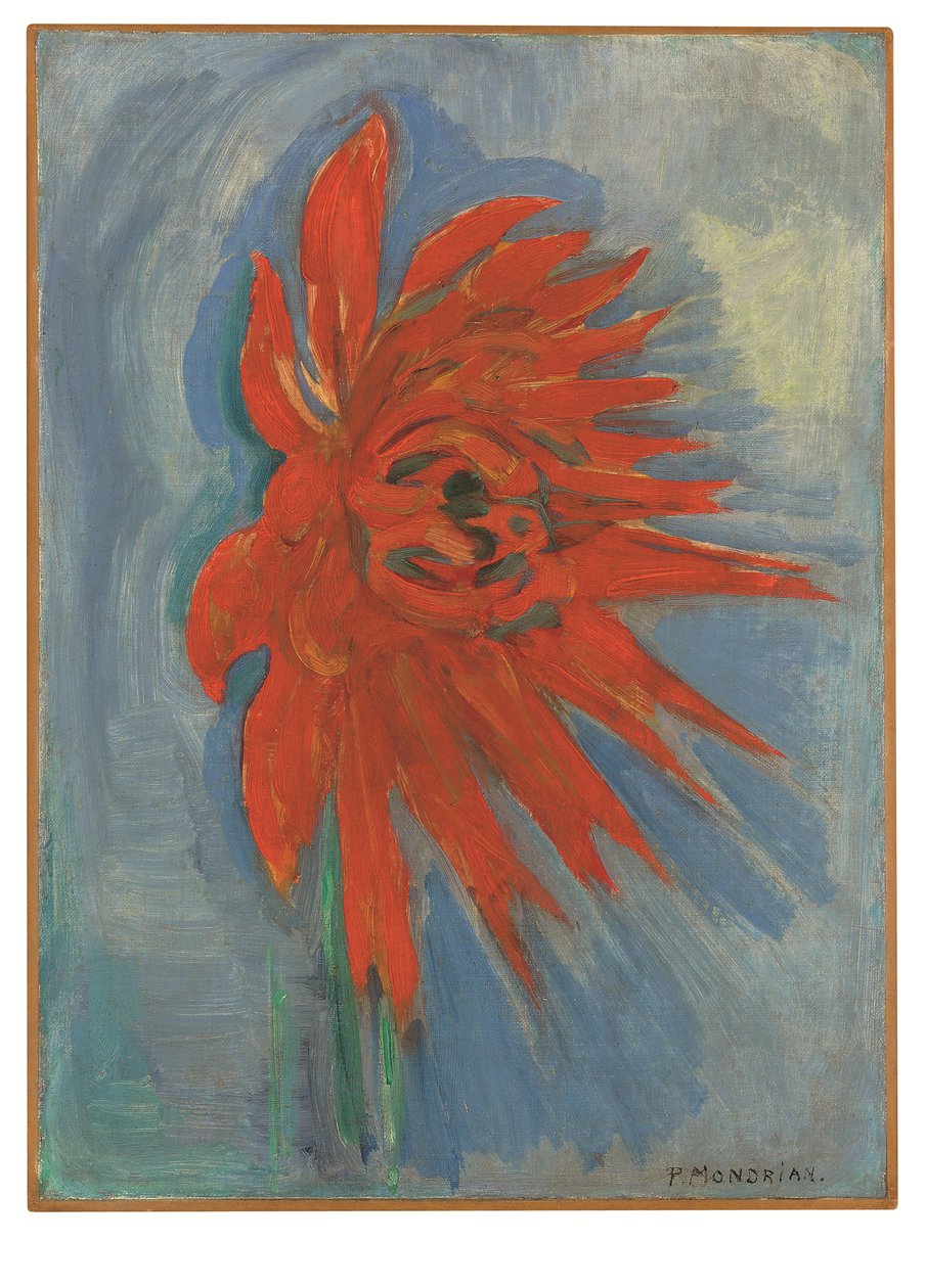 Czerwona chryzantema na niebieskim tle, ok. 1909-10 (olej na płótnie) autorstwa Piet Mondrian