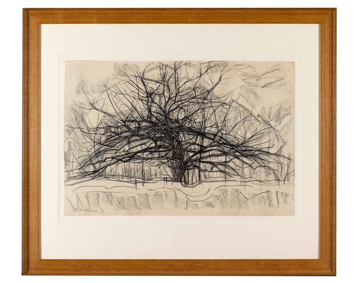 Studium do Szarego Drzewa, 1911 (czarna kredka na papierze) autorstwa Piet Mondrian