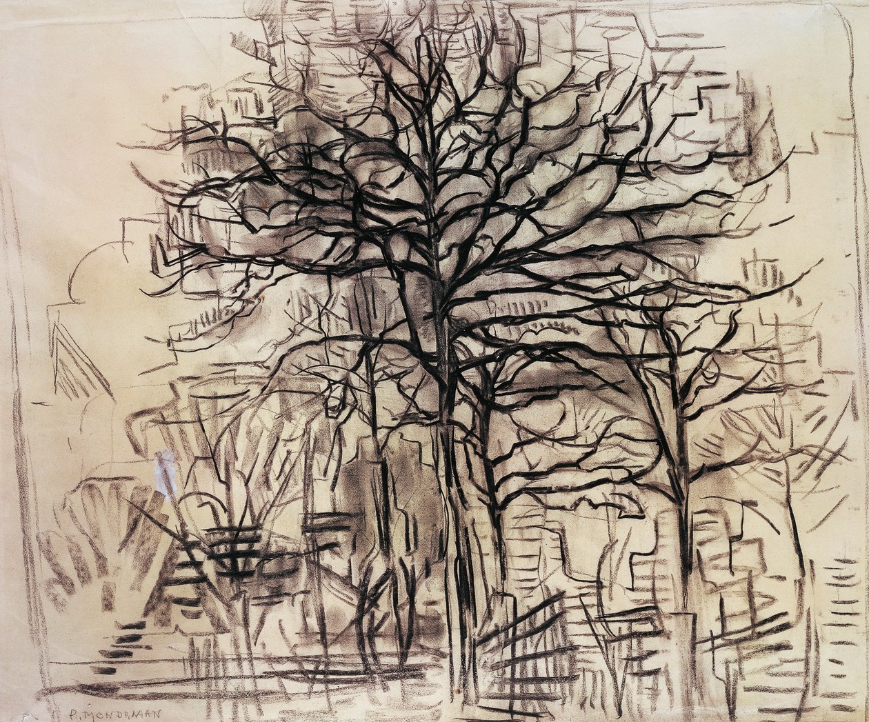 Studium drzew, Piet Mondrian (1872-1944), rysunek węglem i białym ołowiem. Holandia, XX wiek. autorstwa Piet Mondrian