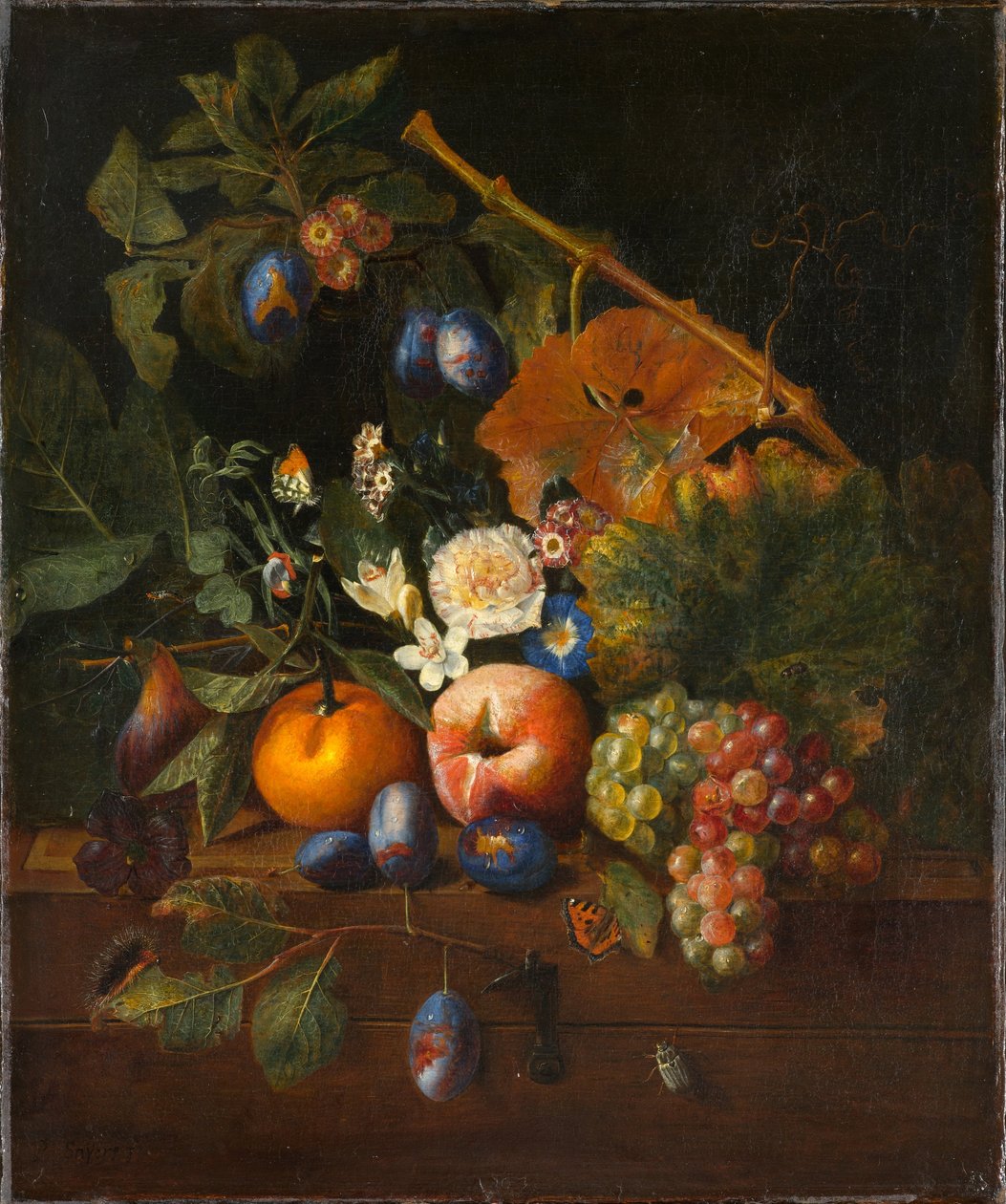 Martwa natura z owocami autorstwa Pieter Snyers