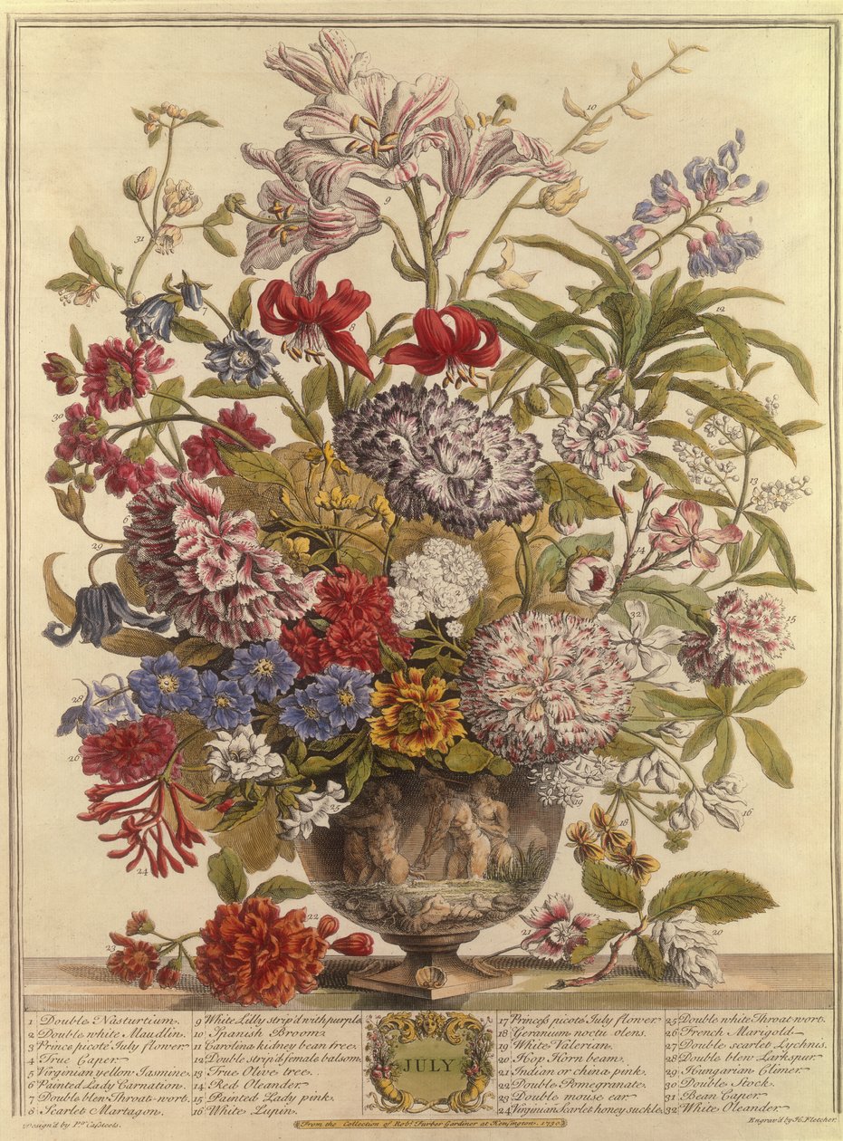 Lipiec, z Dwanaście miesięcy kwiatów Roberta Furbera (ok. 1674-1756) grawerowanego przez Henry