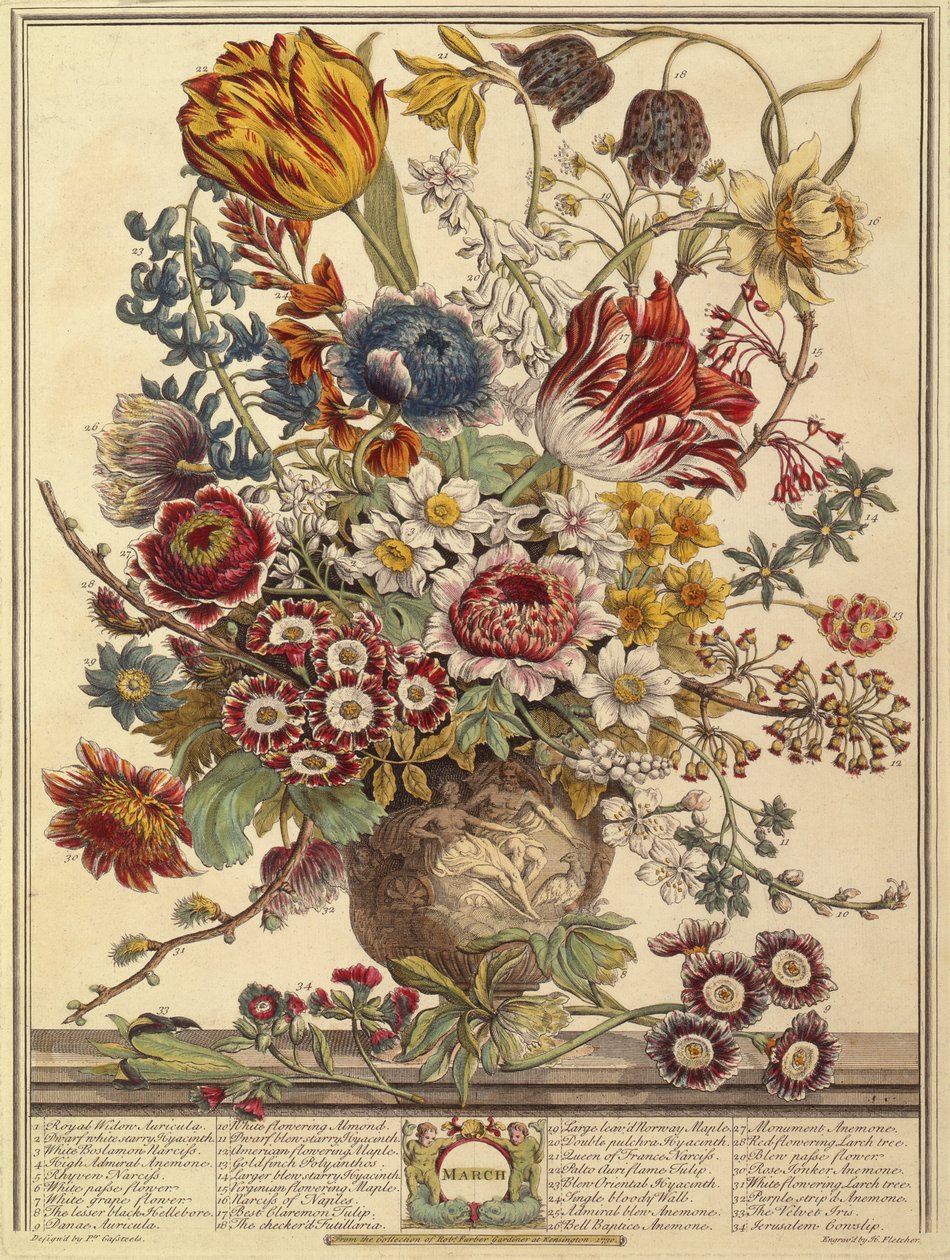 Marzec, z Dwanaście miesięcy kwiatów Roberta Furbera (ok. 1674-1756) grawerowane przez Henry
