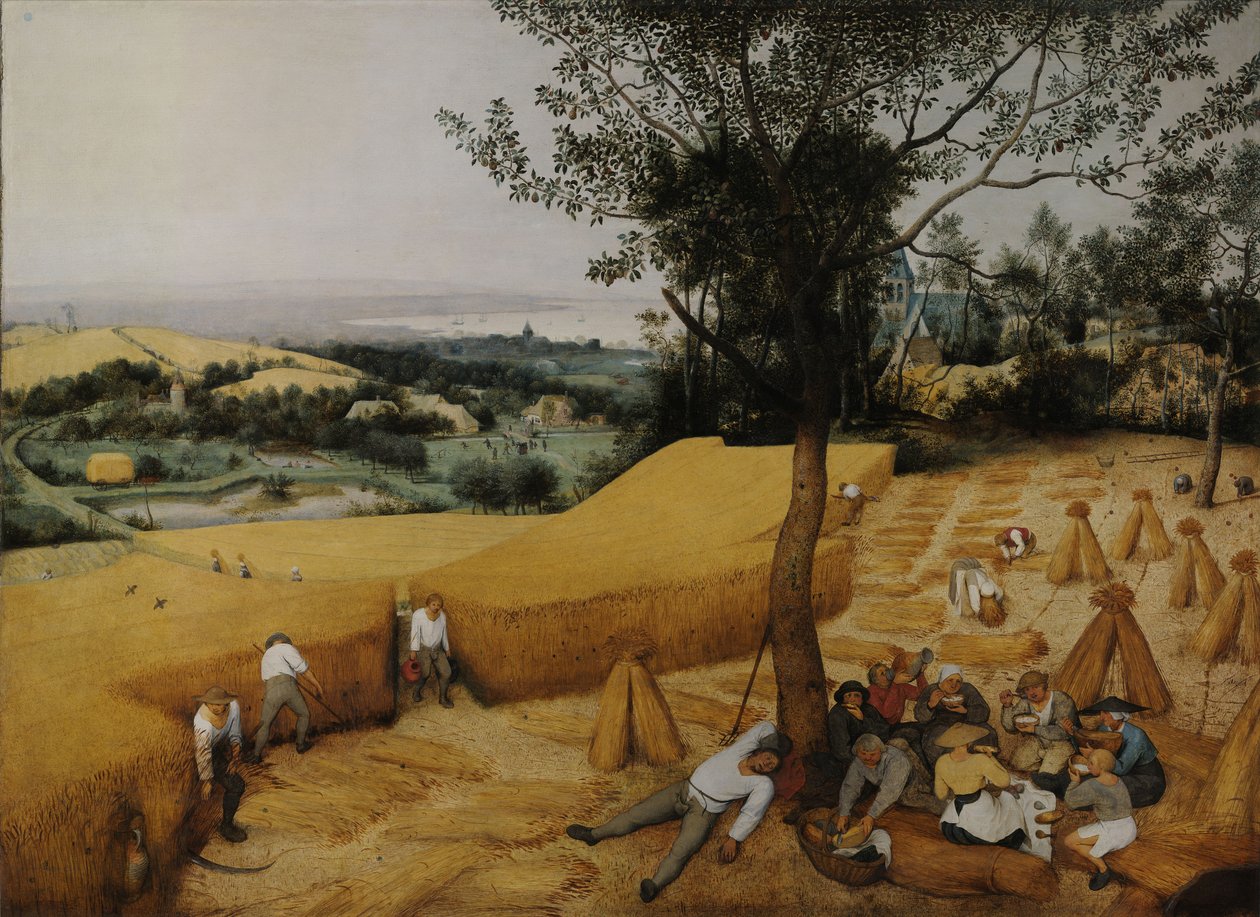Żniwiarze autorstwa Pieter Bruegel the Elder
