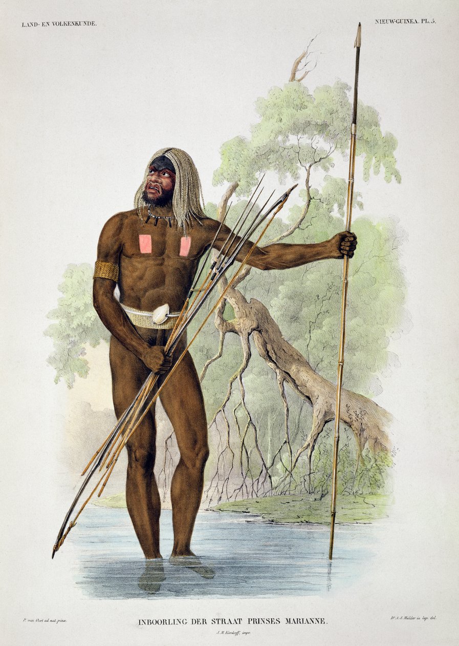 Rodowód księżniczki Marianny, z Verhandelingen over de Natuurlijke Geschiedenis der Nederlandsche overzeesche Bezittingen, tom I, autorstwa Coenraada Jacoba Temmincka, rytowany przez Salomona Mullera, pu autorstwa Pieter van Oort