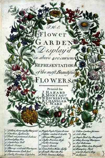 Frontyspis do „The Flower Garden Displayed” Roberta Furbera (ok. 1674-1756), grawerowany przez Jamesa Smitha, wyd. 1732 (kolorowy grawerunek) autorstwa Pieter (after) Casteels