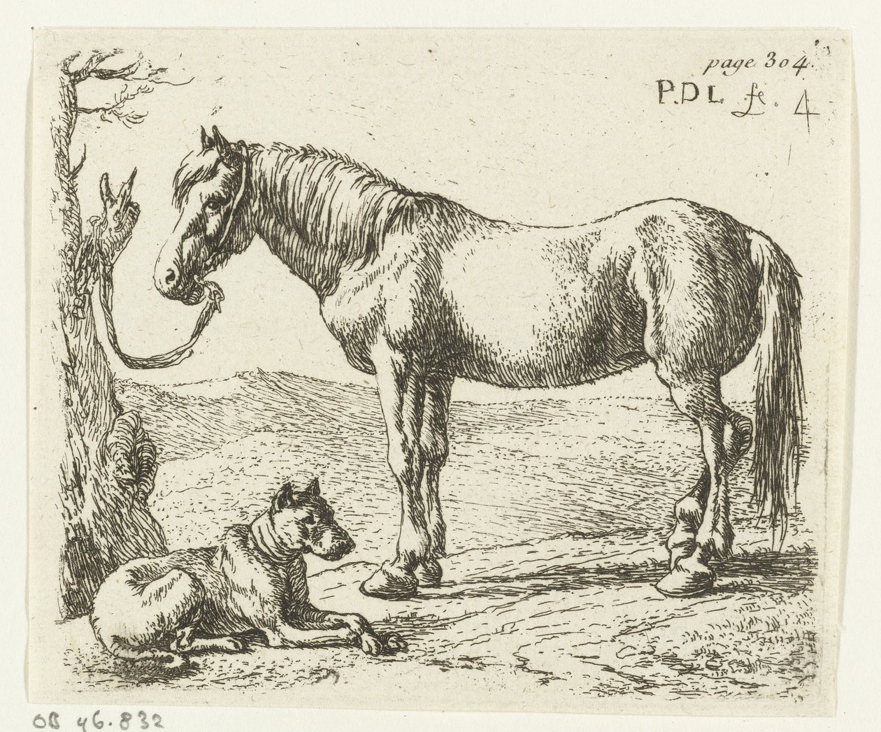 Koń i pies na łące Konie (tytuł serii) autorstwa Pieter Bodding van Laer